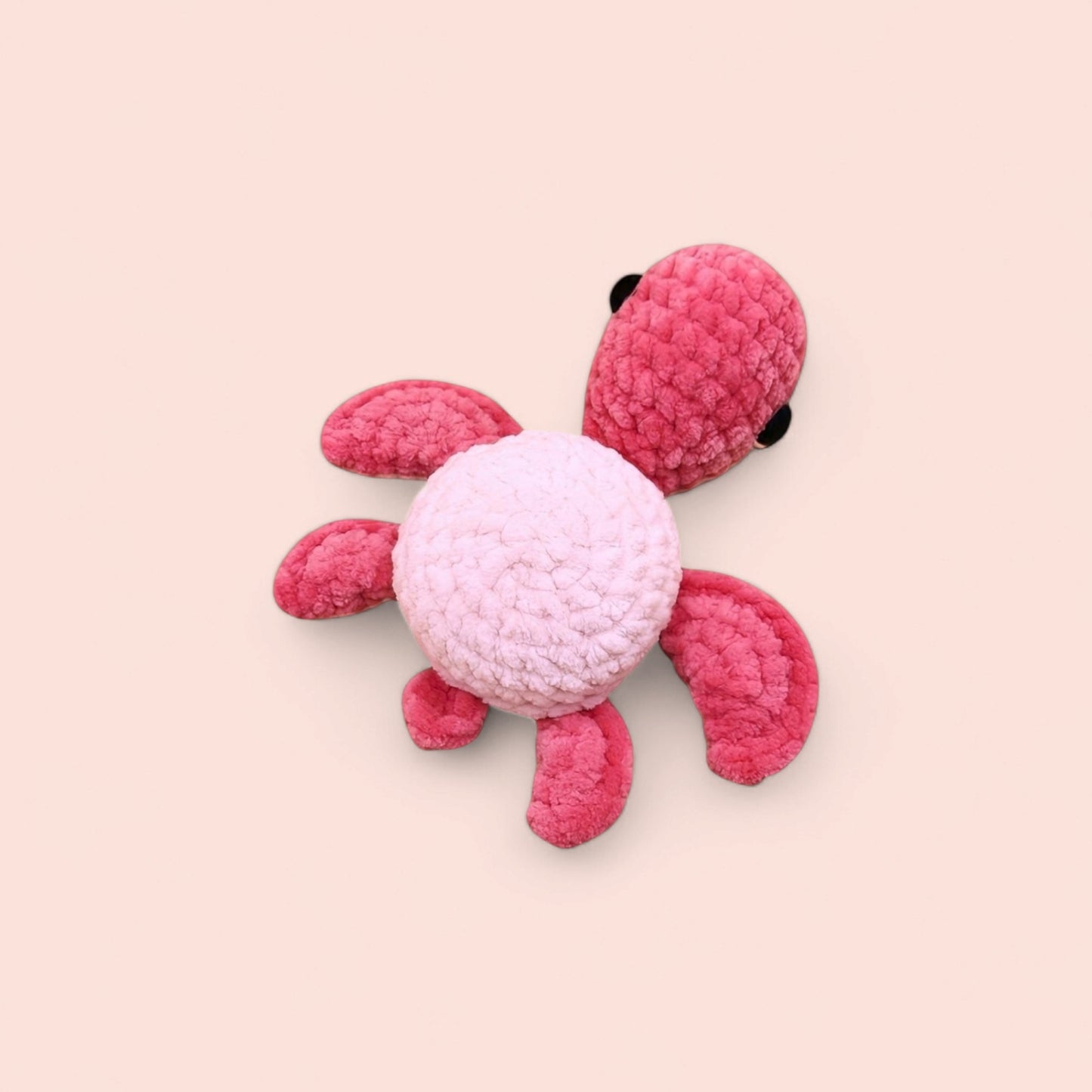 Riva, la tortue - L'atelier de Nicolas